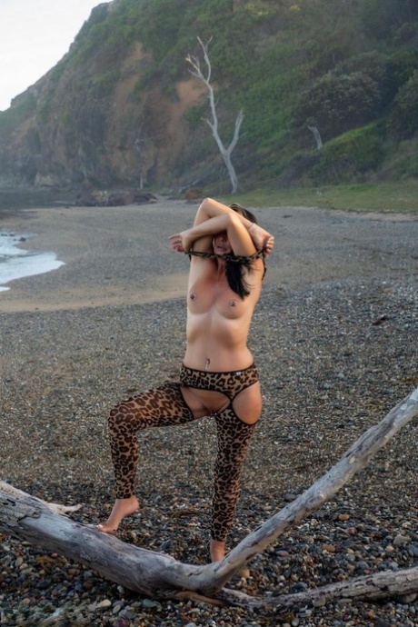 Sexy MILF Roxeanne goes nude on driftwood in animal print hosiery 19248897